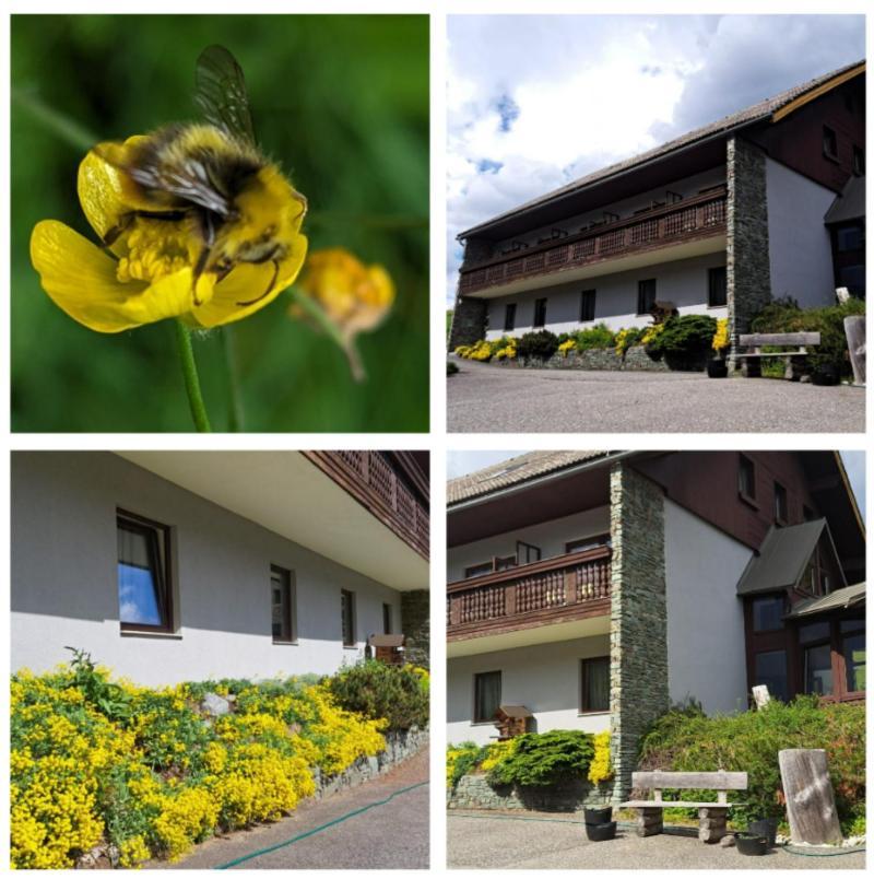 Draxlerhaus Hotel โฮเฮนเทาเอิร์น ภายนอก รูปภาพ